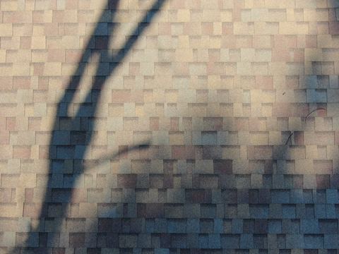 Roof inspection detail 46 — facing S