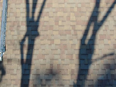 Roof inspection detail 47 — facing S