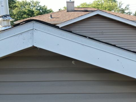 Roof inspection detail 63 — facing E